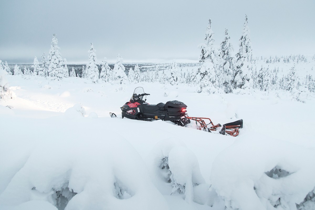 trail grooming, talvireitti, talvipyöräilyreitti