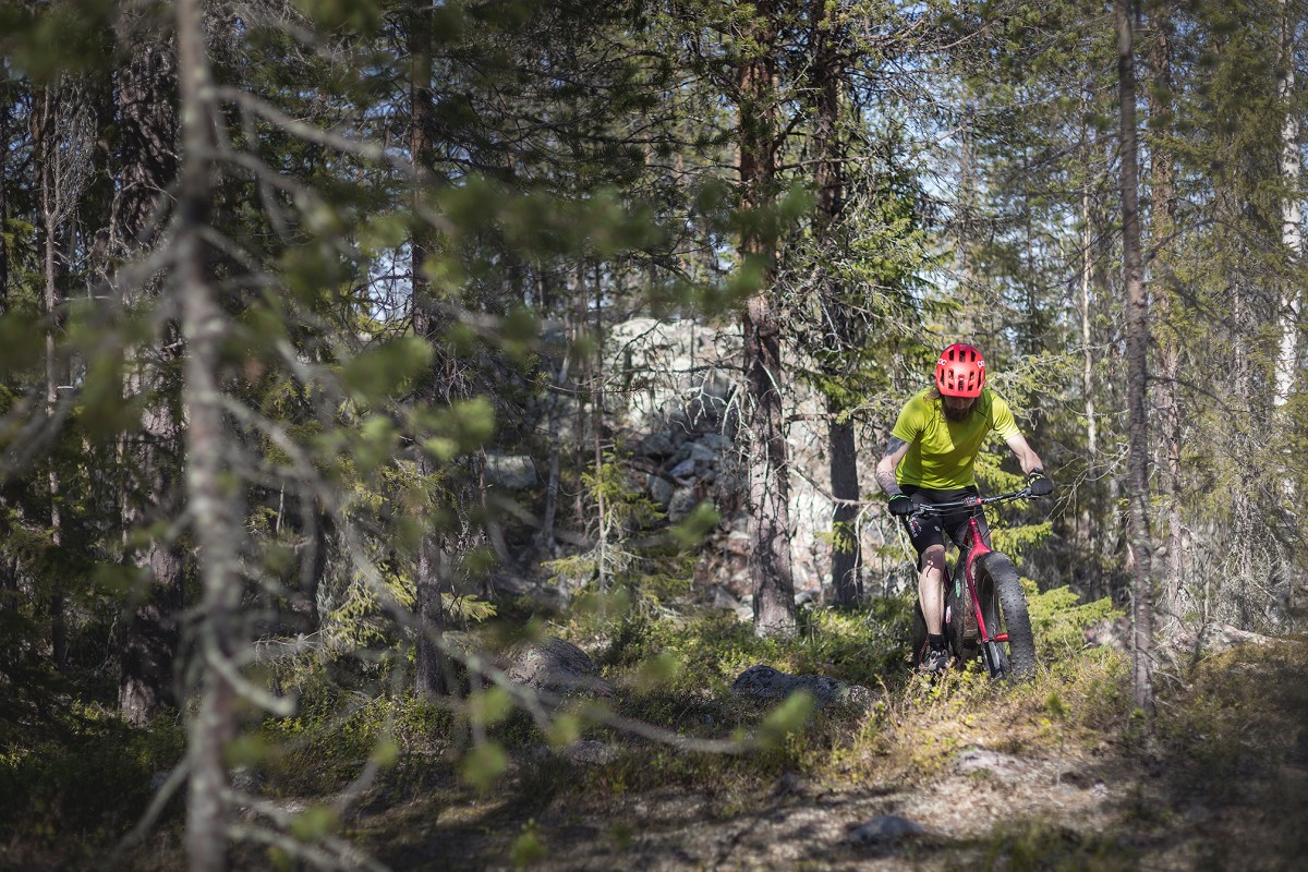 Kesä tulee